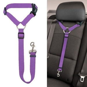 Adjustable Car Dog Leash